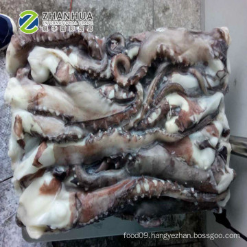 Frozen Squid Tentacle Giant Squid Cleaned 2019